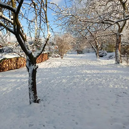 U Trojanu Holiday home